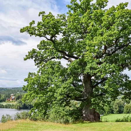 Сasa de vacaciones Bjertnes Turistgard Noresund
