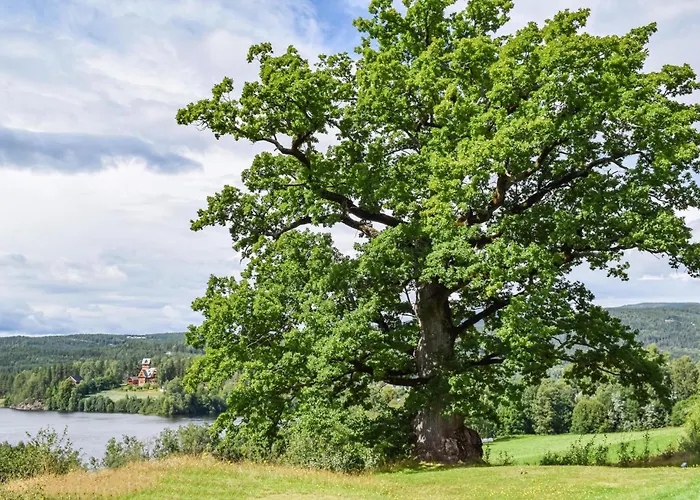 Feriehus Bjertnes Turistgard Noresund
